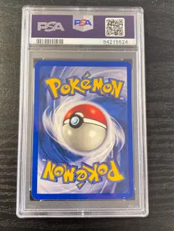1999 POKEMON SHADOWLESS CHARMELEON #24 PSA 8 NM-MT. - Image 3