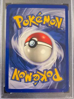1999 POKEMON SHADOWLESS CHARMELEON #24 PSA 8 NM-MT. - Image 4