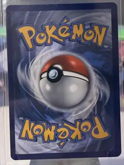 Pokemon TCG Eevee SWSH Black Star Promos SWSH095 Holo Promo LP/NM - Image 2
