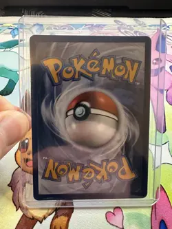 Mega Sharpedo EX SIR 127/094 Me02: Phantasmal Flames Holo Pokemon TCG - Image 4