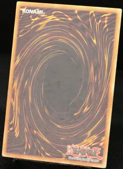 Yu-Gi-Oh! Dunkler Magier SDY-G005 1.Edition Ultra Rare [G] Yugi Deck | DE 2002 - Image 4