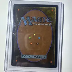 Magic The Gathering Mana Crypt Book Promo 1995 LP - Image 2