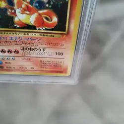 PSA 8-7 Pokemon CD Promo 4 Card Japanese Vintage Charizard Blastoise Venusaur - Image 5
