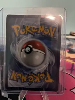 Pokemon N's Zorua 189 SVP Black Star Promos Full Art Promo Holo Card English TCG - Image 4