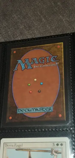 NM/MT Silver Signed Righteousness Revised Douglas Shuler Mtg Magic Rare Vtg - Image 2