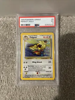 Pokemon TCG Pidgeot Holo Card Jungle 24/64 vintage 1999 PSA 5 - Image 1