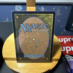 Badgermole Cub (Borderless) 0326 (M) MTG Avatar: The Last Airbender Non Foil - Image 2