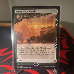 MTG Windswept Heath Zendikar Rising 005 - Image 1