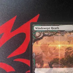MTG Windswept Heath Zendikar Rising 005 - Image 3