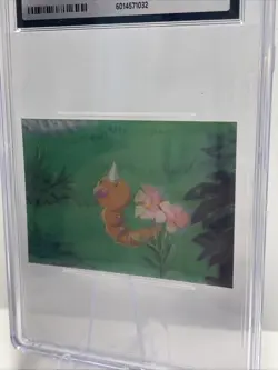 Pop 1 CGC 8 Weedle Japanese Lenticular 3D Card Meiji Milk Cocoa Pokemon Promo - Image 5