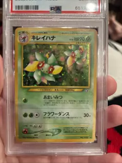 2000 Pokemon Japanese Neo Bellossom #182 Holo PSA 10 - Image 5