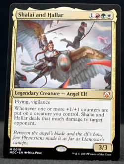 Shalai and Hallar - March of the Machine - MTG Mythic Rare - Regular Non-Foil - Image 1