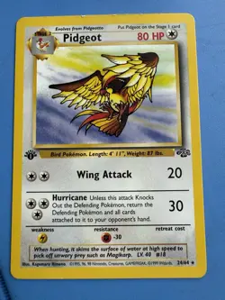 Pokemon TCG Pidgeot Jungle Card 24/64 1st Edition Rare NM - Image 1