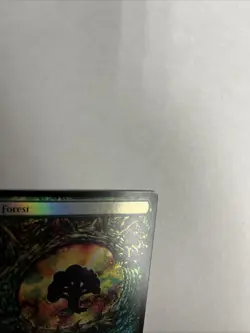 Forest Foil Tarkir Dragonstorm Card #0291 MTG LP - Image 3