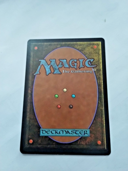 MTG Wasteland Tempest Regular Uncommon - Some Edge Wear - See PIcs - Image 3