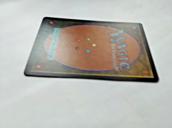 MTG Wasteland Tempest Regular Uncommon - Some Edge Wear - See PIcs - Image 5