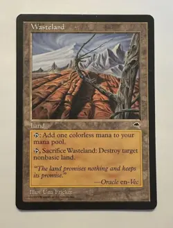 MTG (Magic: The Gathering) Tempest Wasteland (LP) - Image 1