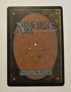 MTG (Magic: The Gathering) Tempest Wasteland (LP) - Image 2