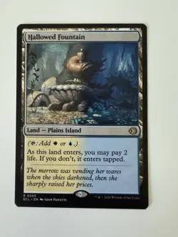 Hallowed Fountain - 0265 - Lorwyn Eclipsed ECL - MTG - NM/M - Image 1