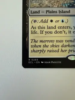 Hallowed Fountain - 0265 - Lorwyn Eclipsed ECL - MTG - NM/M - Image 4
