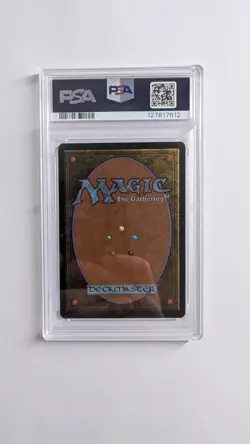 Taiga Revised Edition Regular - GRADED - PSA 8 - Image 2