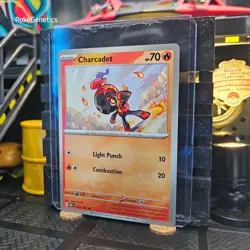 Charcadet Obsidian Flames Pokemon TCG 043/197 Scarlet & Violet Common - Image 2