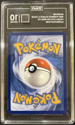 TAG 10 Pokemon 2023 Magikarp Paldea Evolved 203/193 - Image 2