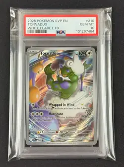 Tornadus #210 *PSA 10* 2025 Pokemon SVP EN White Flare ETB Black Star Promo🌪 - Image 3