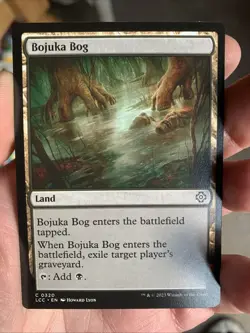 1x BOJUKA BOG - various Sets - MTG - Magic the Gathering - Image 1