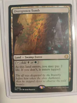 Overgrown Tomb Lorwyn Eclipsed Regular 0266 - Image 1