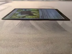 MTG - Patchwork Banner - Foil - Bloomburrow - Image 4