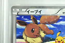 PSA 8 NEAR MINT Pokemon Card Eevee 235/BW-P 7-11 Black & White Promo Japanese - Image 4