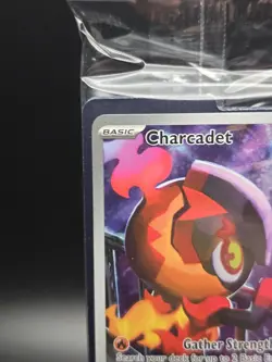 Pokemon Center Exclusive Phantasmal Flames Charcadet Promo Sealed - Image 2