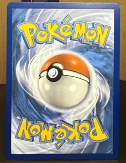 Pokemon Flannery (Secret) 215/198 Swsh06: Chilling Reign Full Art Rainbow Holo - Image 2