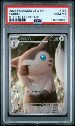 Pokemon TCG Journey Together Furret Illustration Rare Card 168/159 SV09 PSA 10 - Image 1