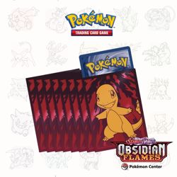 Obsidian Flames ETB - Pokemon Center - Elite Trainer Box - New & Sealed - Image 5