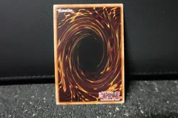 Dark Paladin DPYG-EN016 Ultra Rare Yugioh! Foil Purple - Image 2