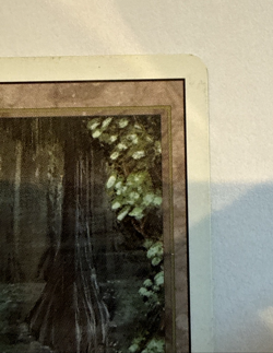 Bayou Magic The Gathering MTG Revised Edition Regular - Image 4