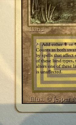 Bayou Magic The Gathering MTG Revised Edition Regular - Image 5