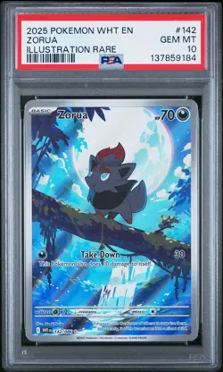 2025 POKEMON WHT EN-WHITE FLARE ILLUSTRATION RARE #142 ZORUA PSA 10 - Image 1