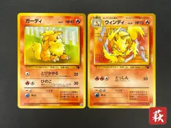 [No Import Duty (US)] Growlithe & Arcanine Intro Pack Squirtle Deck Pokemon Card - Image 1