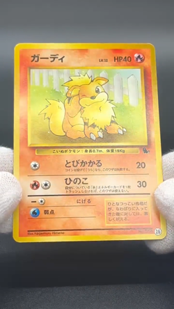 [No Import Duty (US)] Growlithe & Arcanine Intro Pack Squirtle Deck Pokemon Card - Image 2