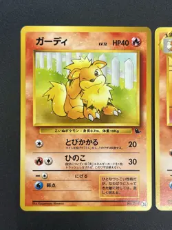 [No Import Duty (US)] Growlithe & Arcanine Intro Pack Squirtle Deck Pokemon Card - Image 4