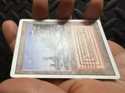 MTG Plateau (Revised Edition) Dual Land LP - Image 2