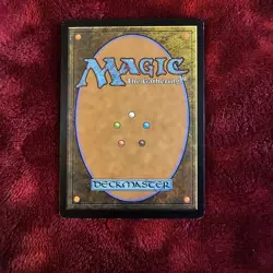 Corrosive Mentor Mtg Shadowmoor Regular Lightly Played. - Image 2