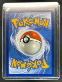2023-25 Pokemon SV Black Star Promos SVP EN Marnie's Morpeko #206 - Image 2