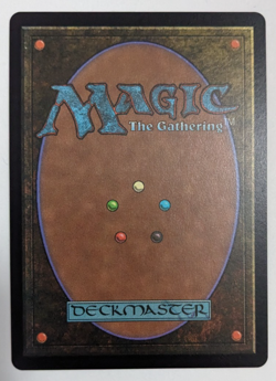 Lulu, Stern Guardian (467) Chocobo Track Foil! Final Fantasy FIC, Magic MtG, NM! - Image 3