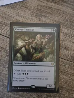 MTG Canopy Tactician Kaldheim 378 Regular Rare - Image 1