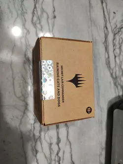 Raining Cats And Dogs, Secret Lair New, Sealed - Image 1