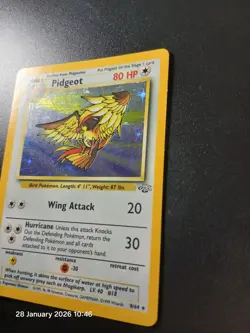 Pokemon Card Pidgeot 8/64 Jungle Set Holo Rare NM - Image 3